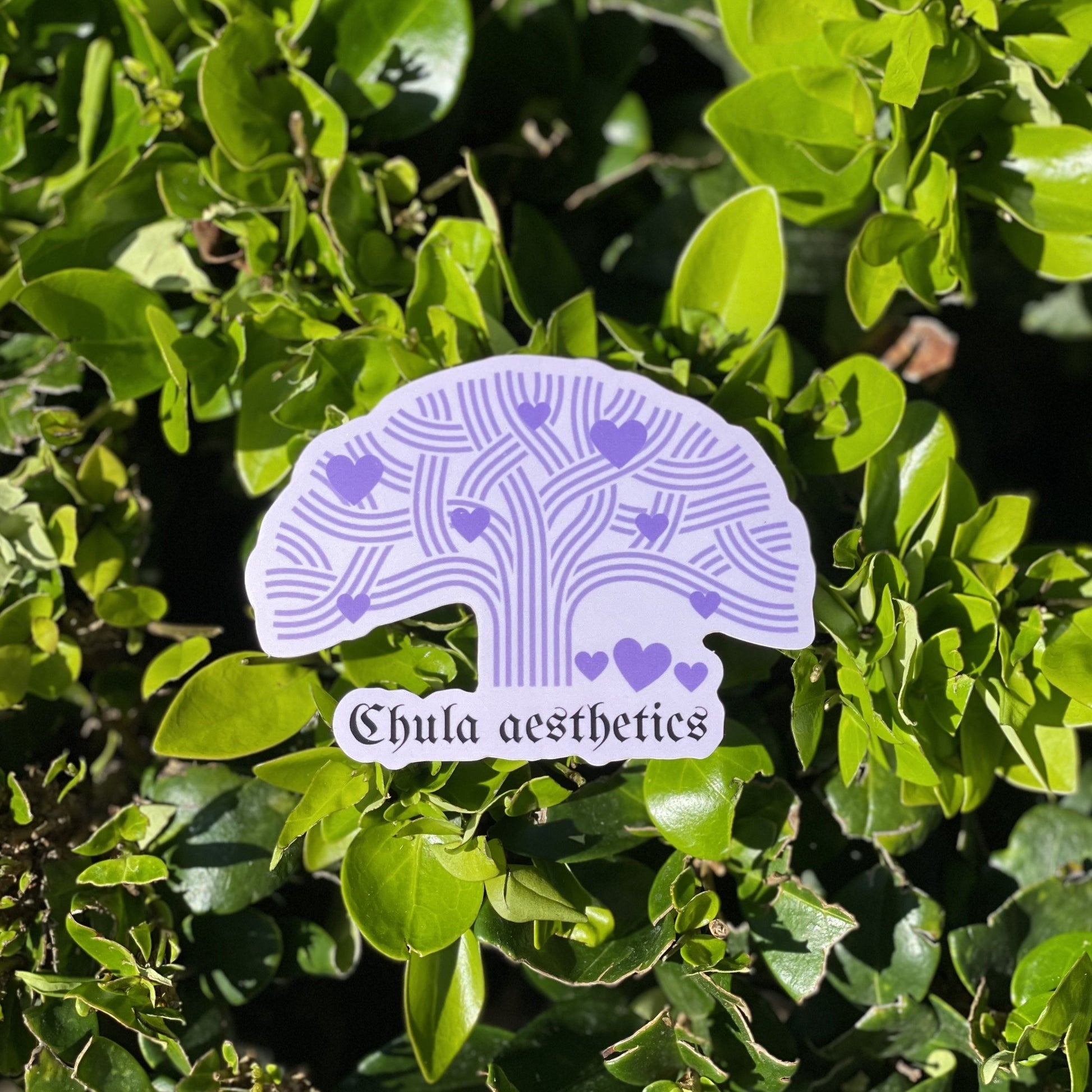 Purple Oakland tree with purple hearts and Chula aesthetics name/logo displayed on green bush.